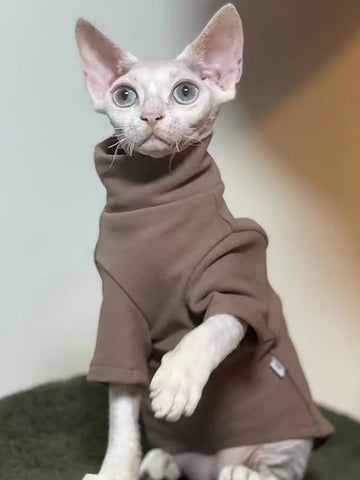 Warm Winter Clothes for Sphynx Cats