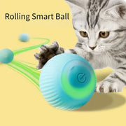 Rolling Ball Electric Cat Toys