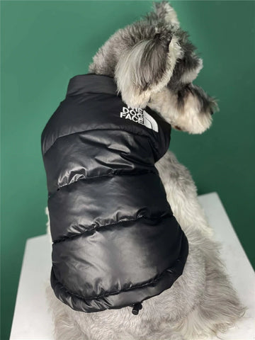 Black Dog Jacket Warm