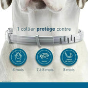 Anti-parasitic Adjustable Dog Collar