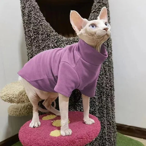 Warm Winter Clothes for Sphynx Cats