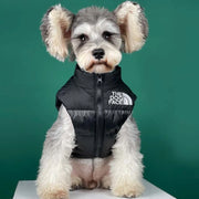 Black Dog Jacket Warm